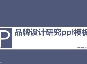 品牌设计研究ppt模板