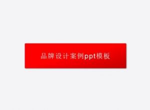 品牌设计案例ppt模板