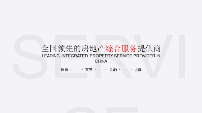 品牌设计案例ppt模板