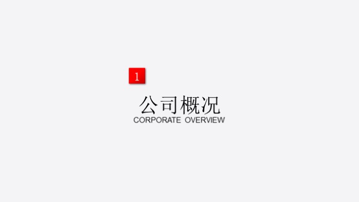品牌设计案例ppt模板
