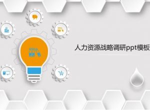 人力资源战略调研ppt模板