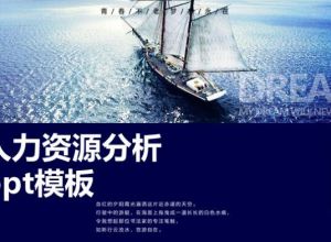 人力资源分析ppt模板
