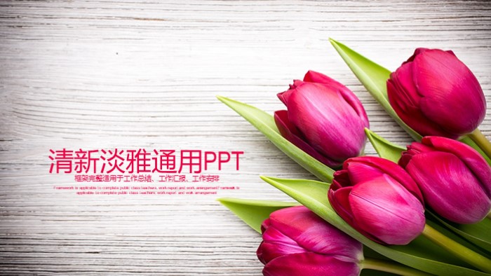 情人节英语介绍ppt模板