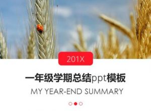 一年级学期总结ppt模板