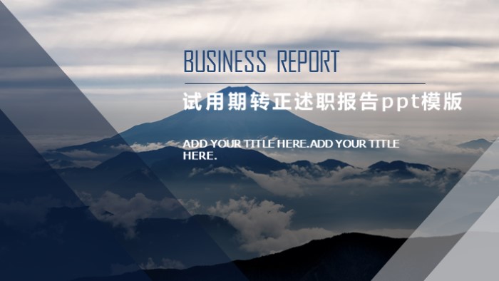 试用期转正述职报告ppt模版