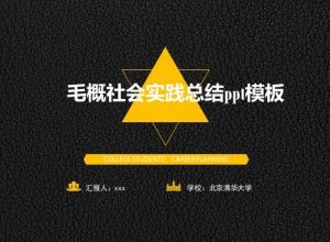 毛概社会实践总结ppt模板