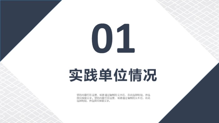 暑期社会实践投标ppt模板