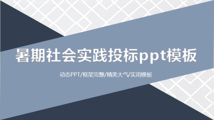 暑期社会实践投标ppt模板
