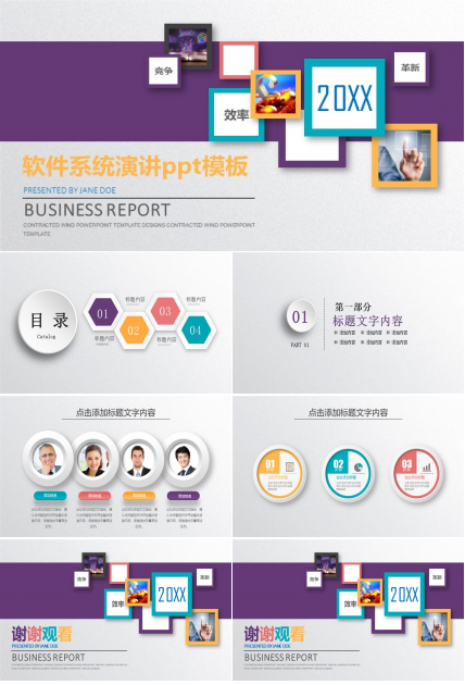 软件系统演讲ppt模板