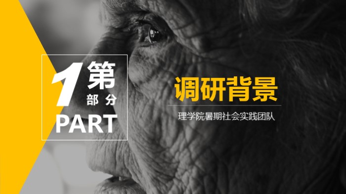 设计类社会实践ppt模板