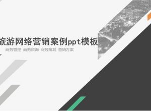 旅游网络营销案例ppt模板