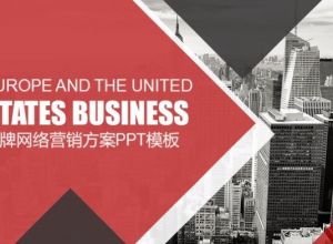 品牌网络营销方案ppt模板