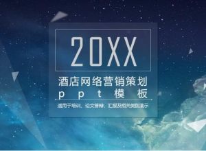 酒店网络营销策划ppt模板