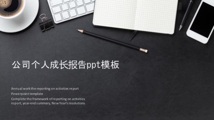 公司个人成长报告ppt模板