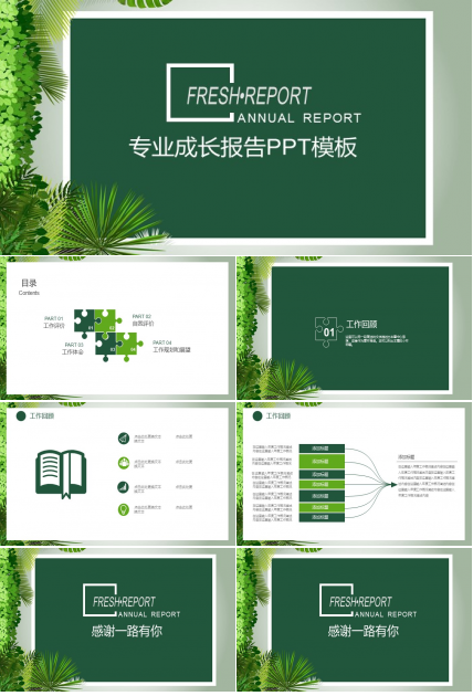 专业成长报告ppt模板