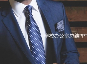 学校办公室总结ppt模板