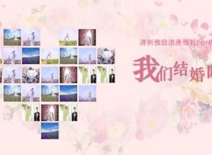 清新雅致浪漫婚礼ppt模板
