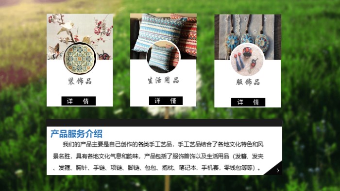 旅游年度运营计划方案ppt模板