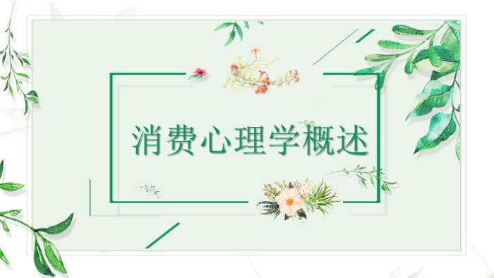 消费者权益保护法ppt模板