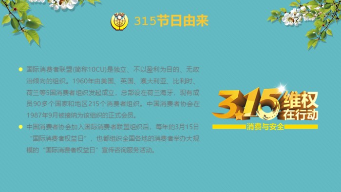消费者权益主题ppt模板