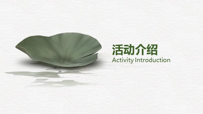 晚会销售方案策划ppt模板