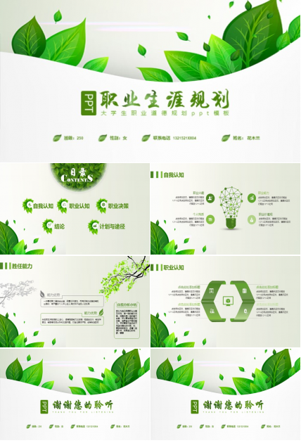 大学生职业道德规划ppt模板