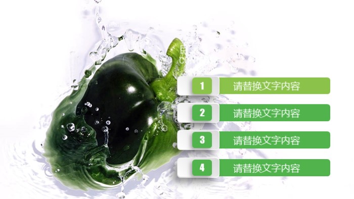 健康养生排毒ppt模板