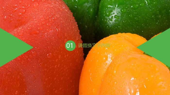 健康养生排毒ppt模板