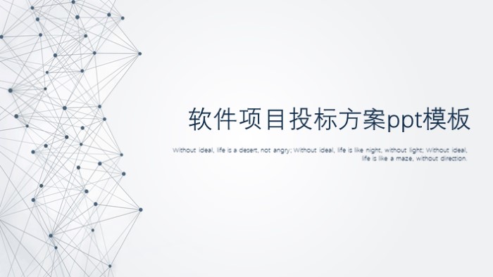 软件项目投标方案ppt模板
