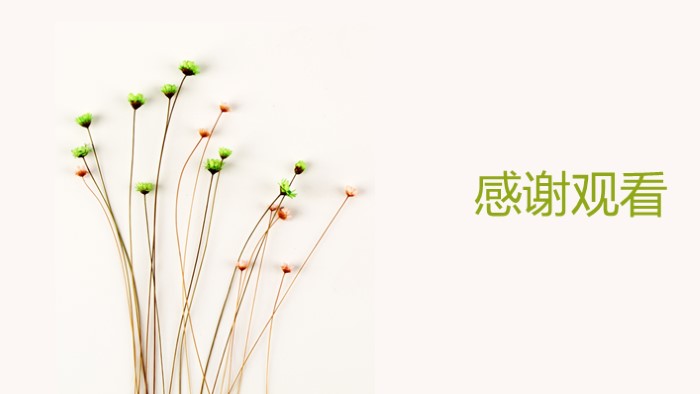 公司投标答辩ppt模板