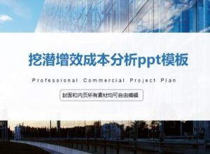 挖潜增效成本分析ppt模板