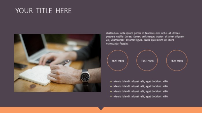 内部成本分析ppt模板