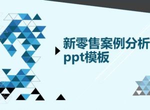 新零售案例分析ppt模板