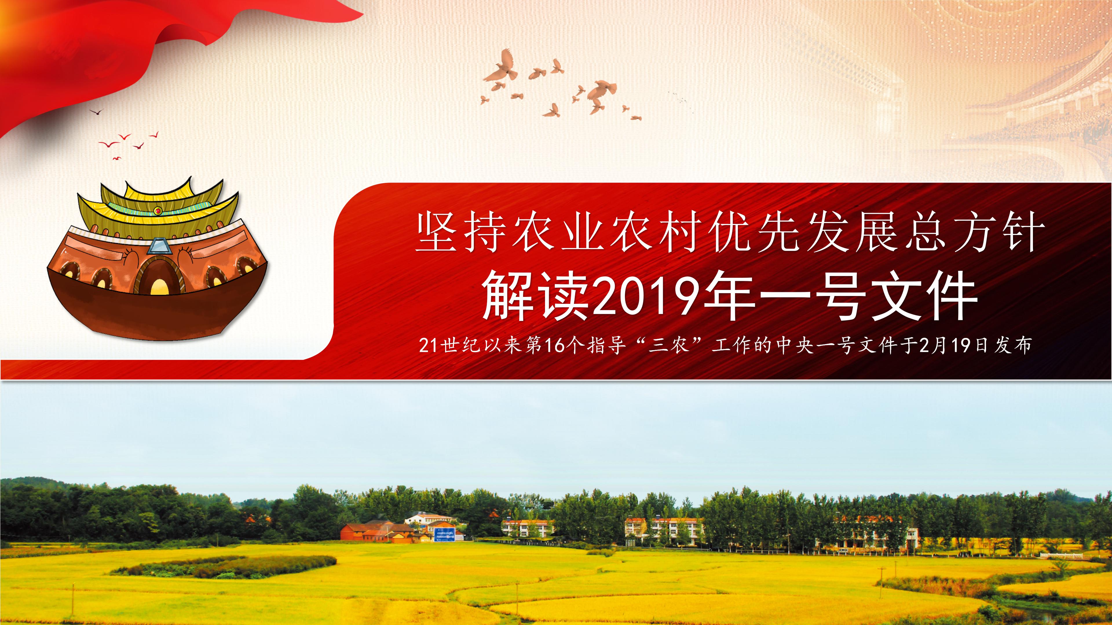 解读学习2019三农工作中央一号文件ppt模板