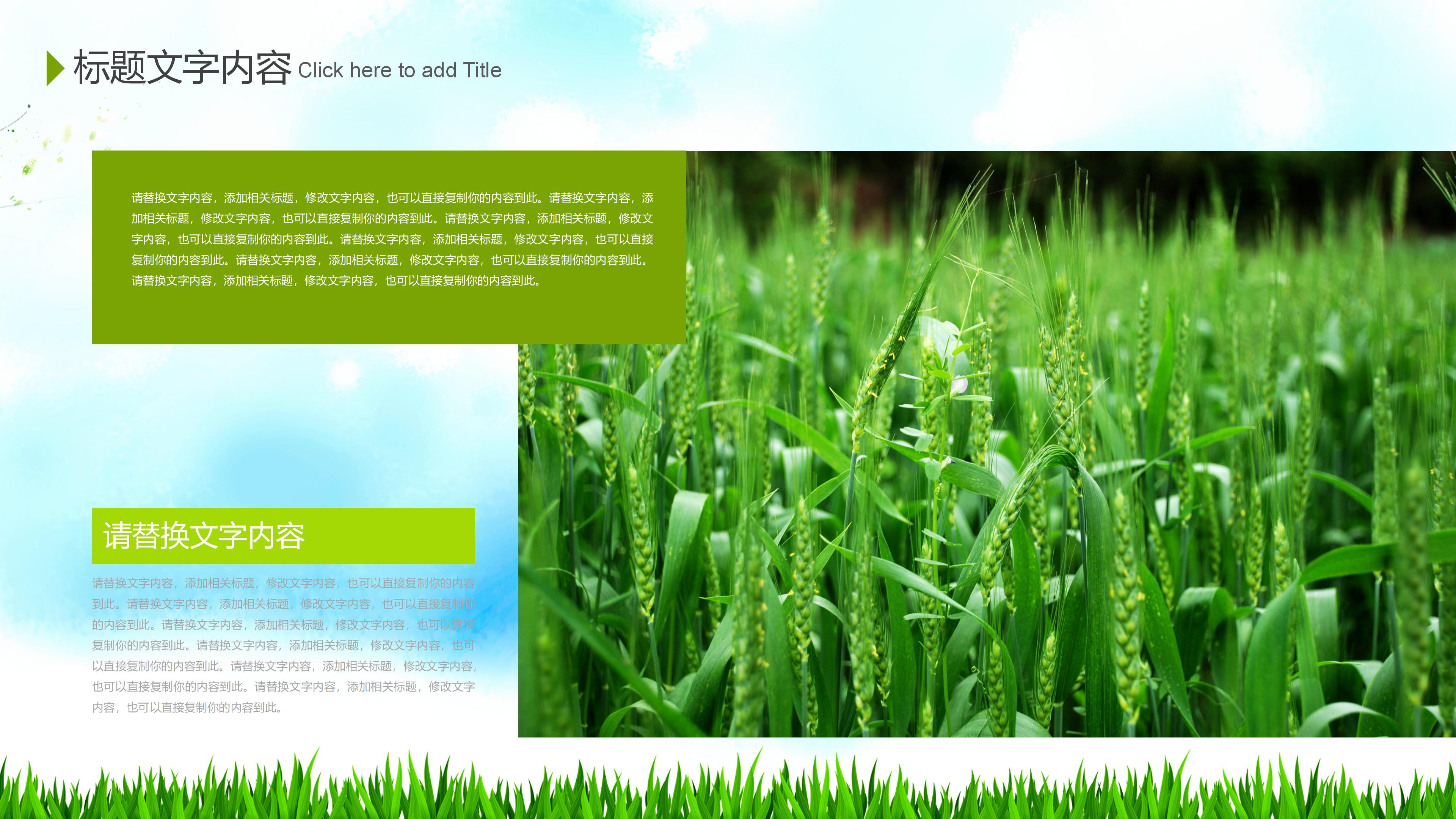 清明节诗句ppt模板