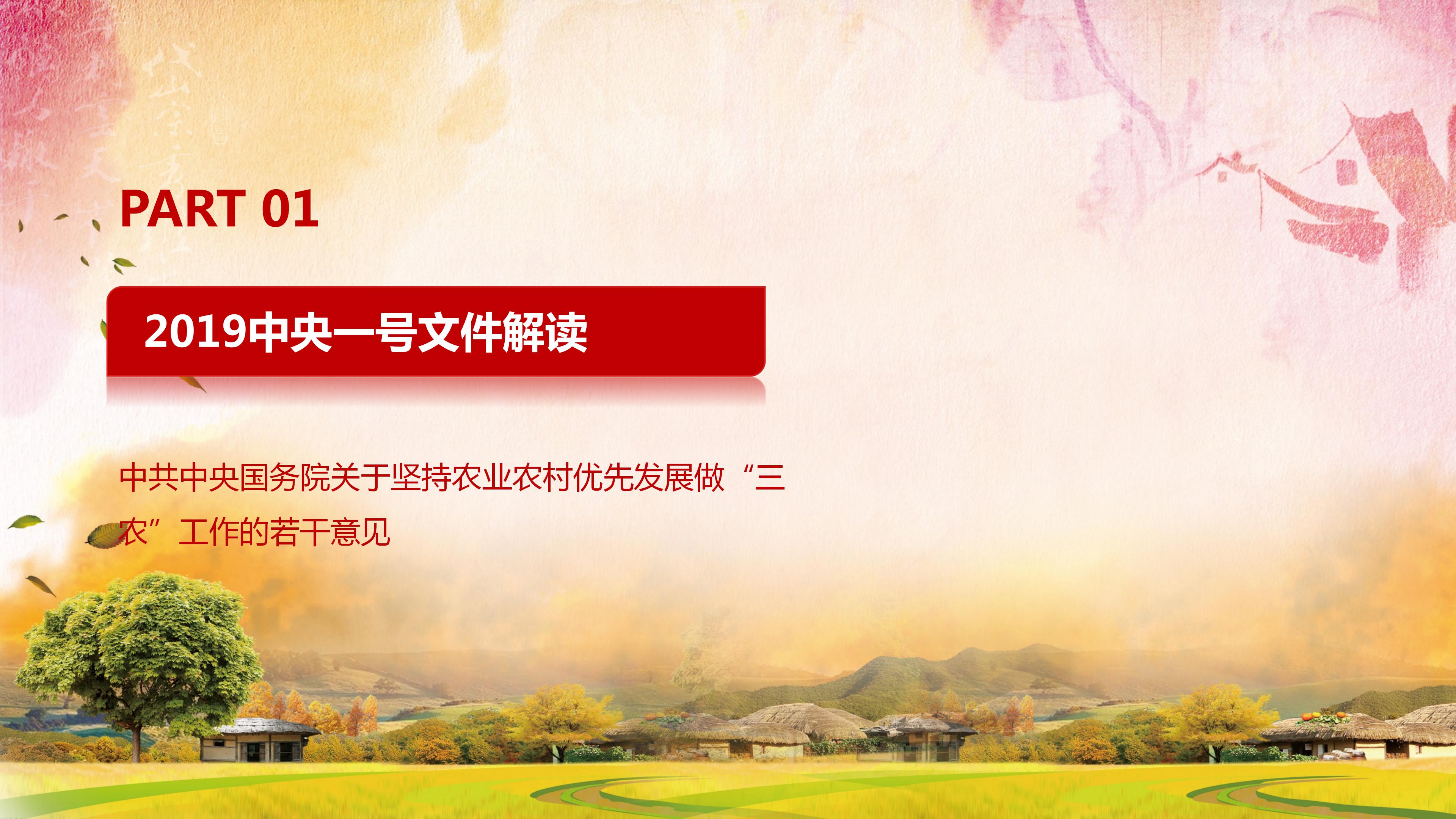 国务院关于做好三农工作的若干意见ppt模板