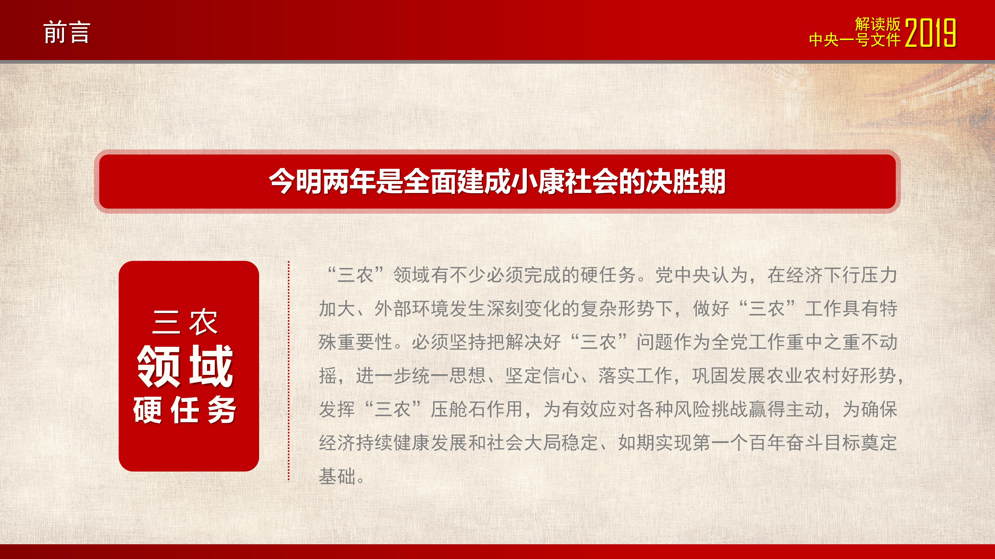 2019中央一号文件坚持农业农村优先ppt模板