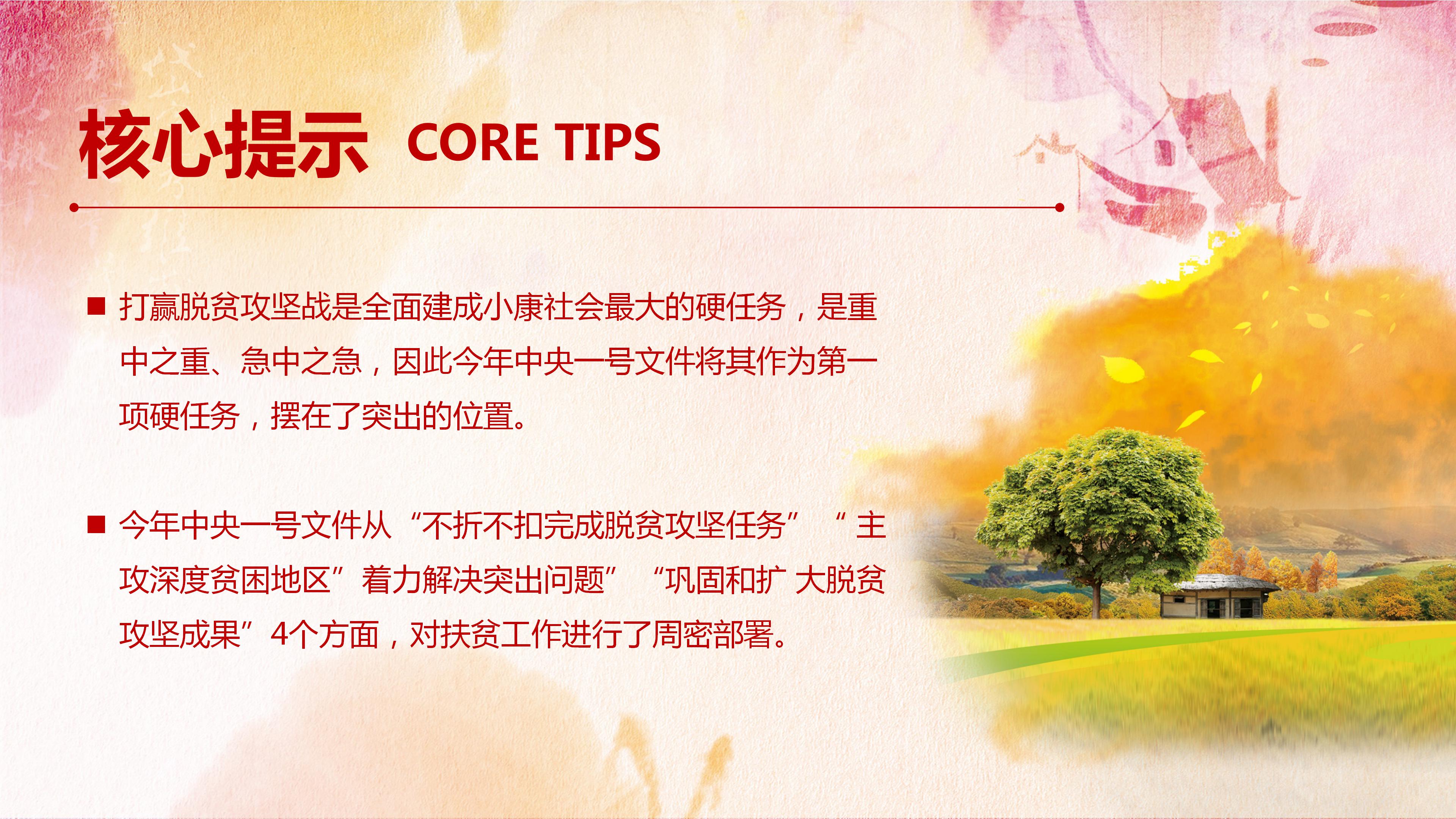 国务院关于做好三农工作的若干意见ppt模板