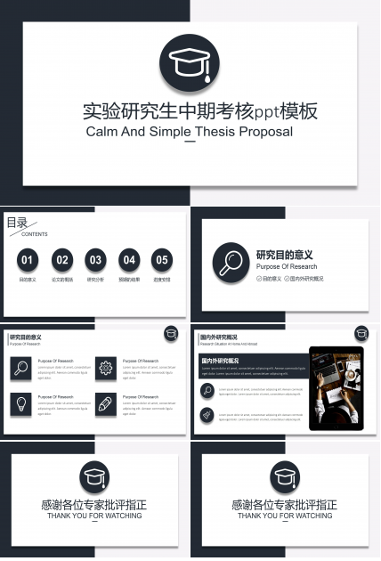 实验研究生中期考核ppt模板