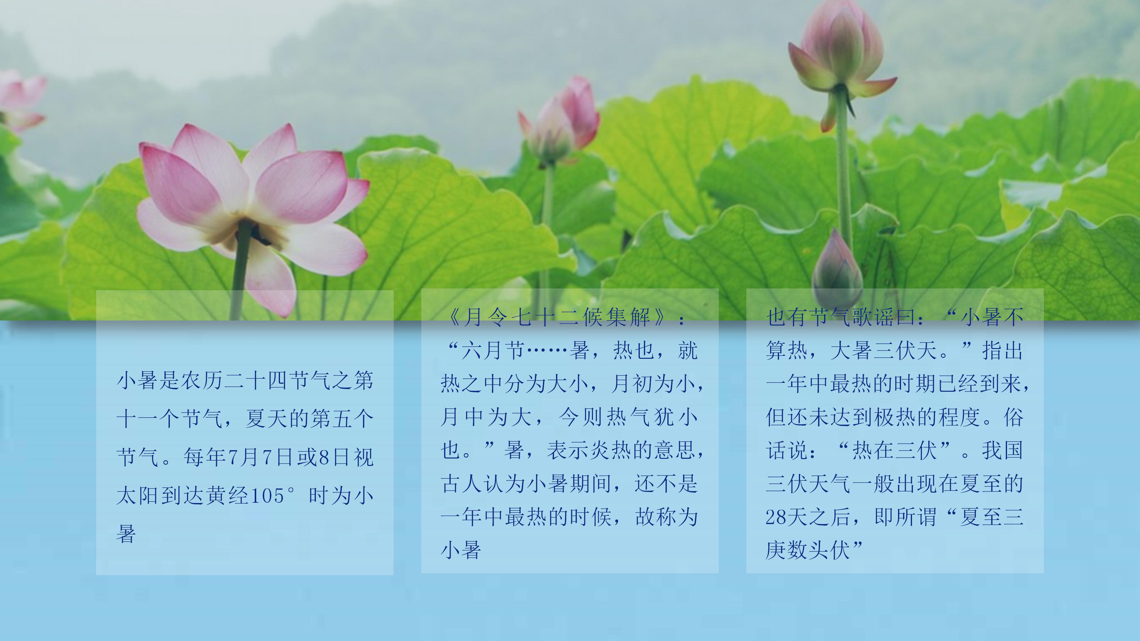 简洁二十四节气小暑宣传介绍ppt模板
