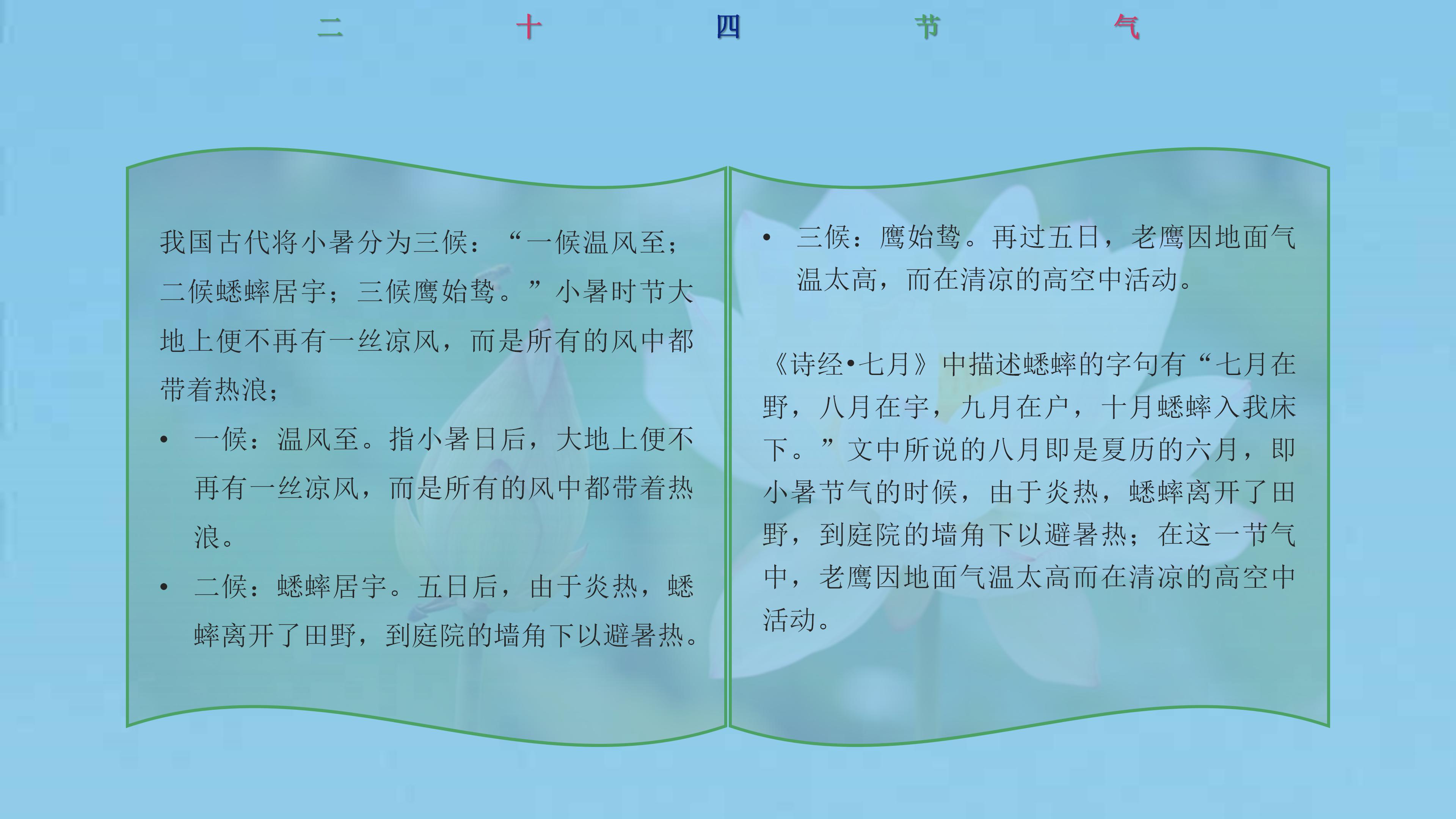 简洁二十四节气小暑宣传介绍ppt模板