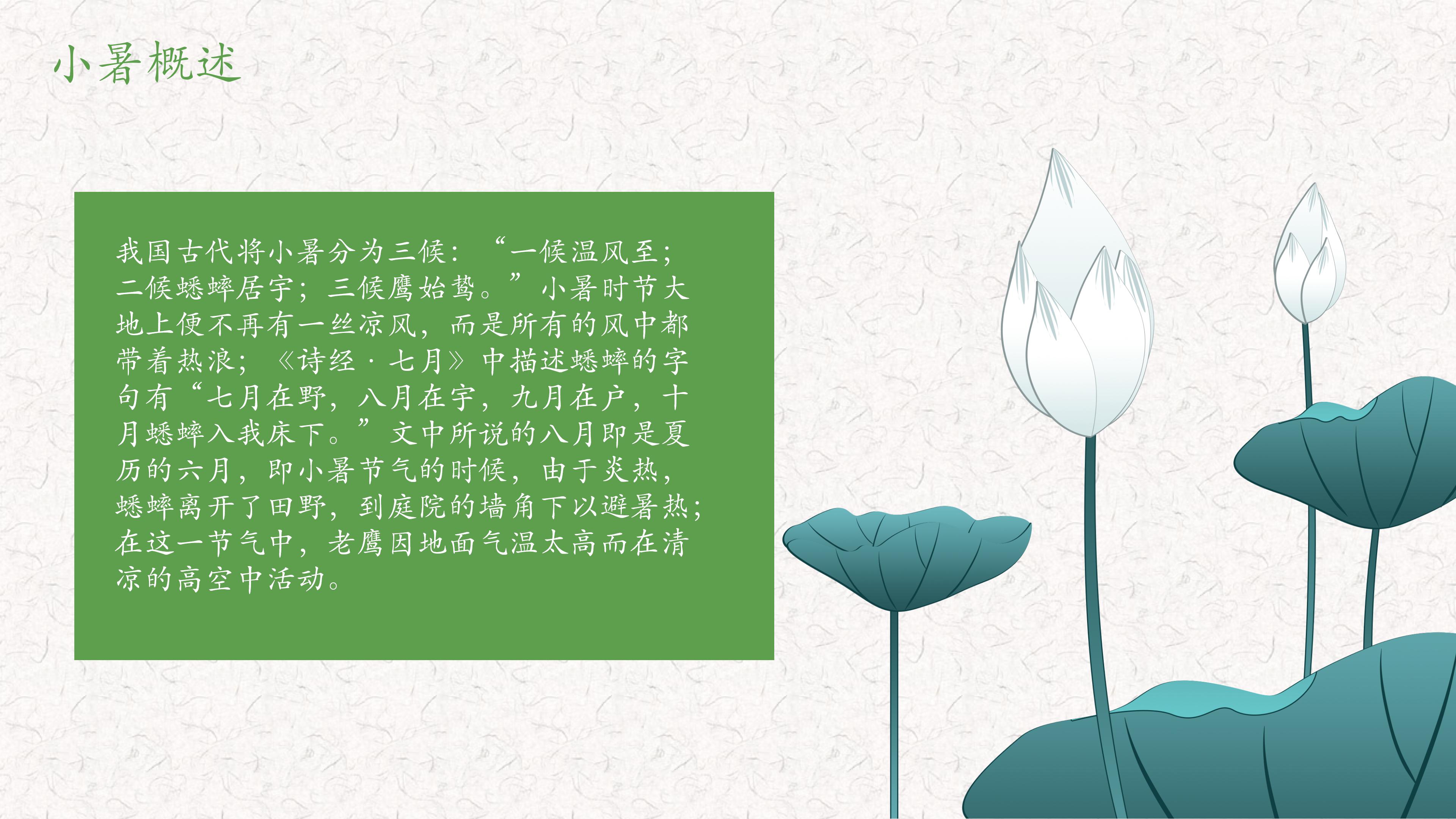 二十四节气之小暑传统习俗介绍ppt模板