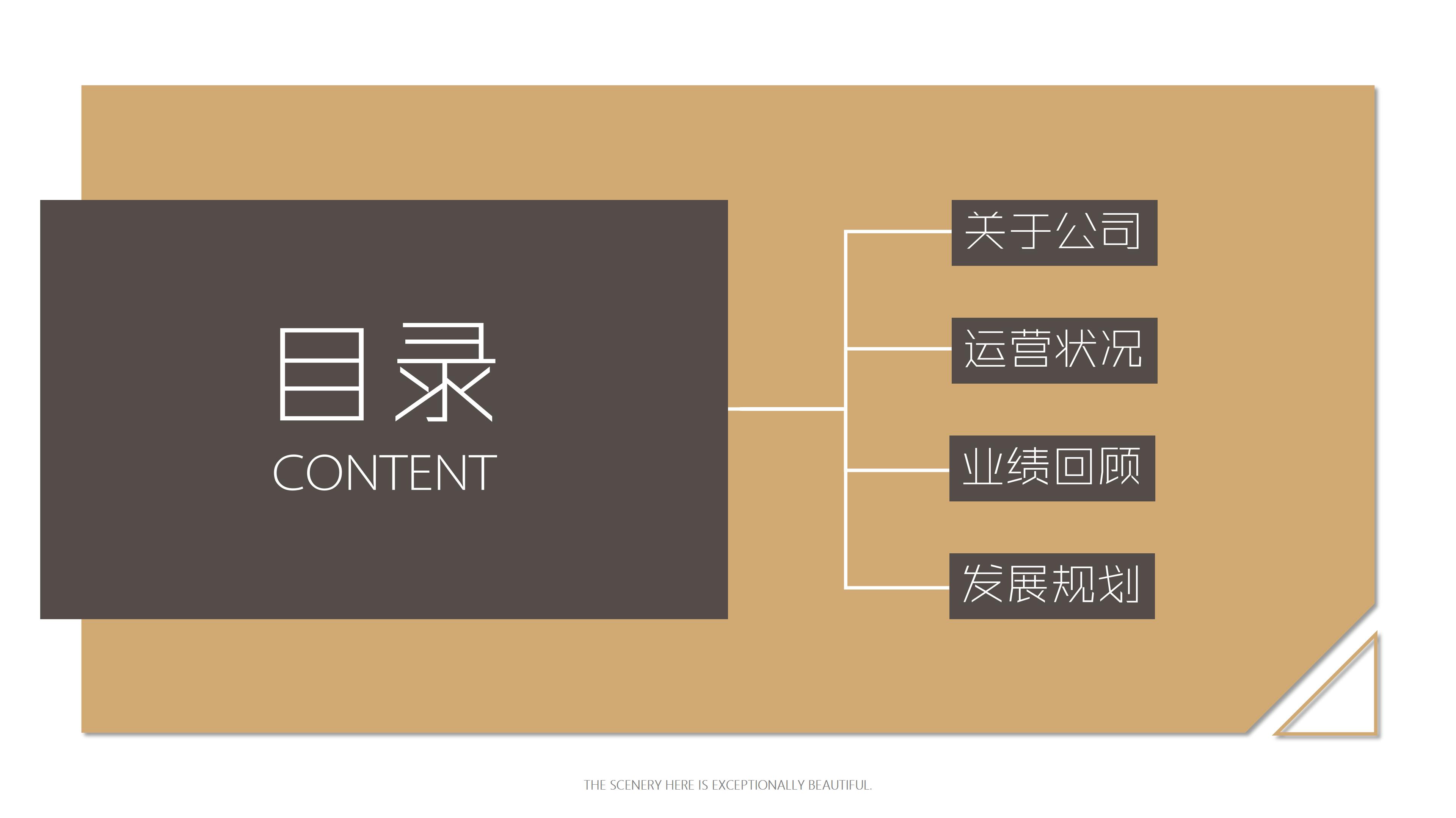 布局项目改善方案ppt模板