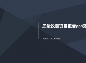 质量改善项目报告ppt模板