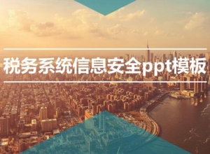 税务系统信息安全ppt模板