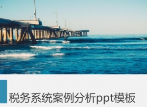 税务系统案例分析ppt模板