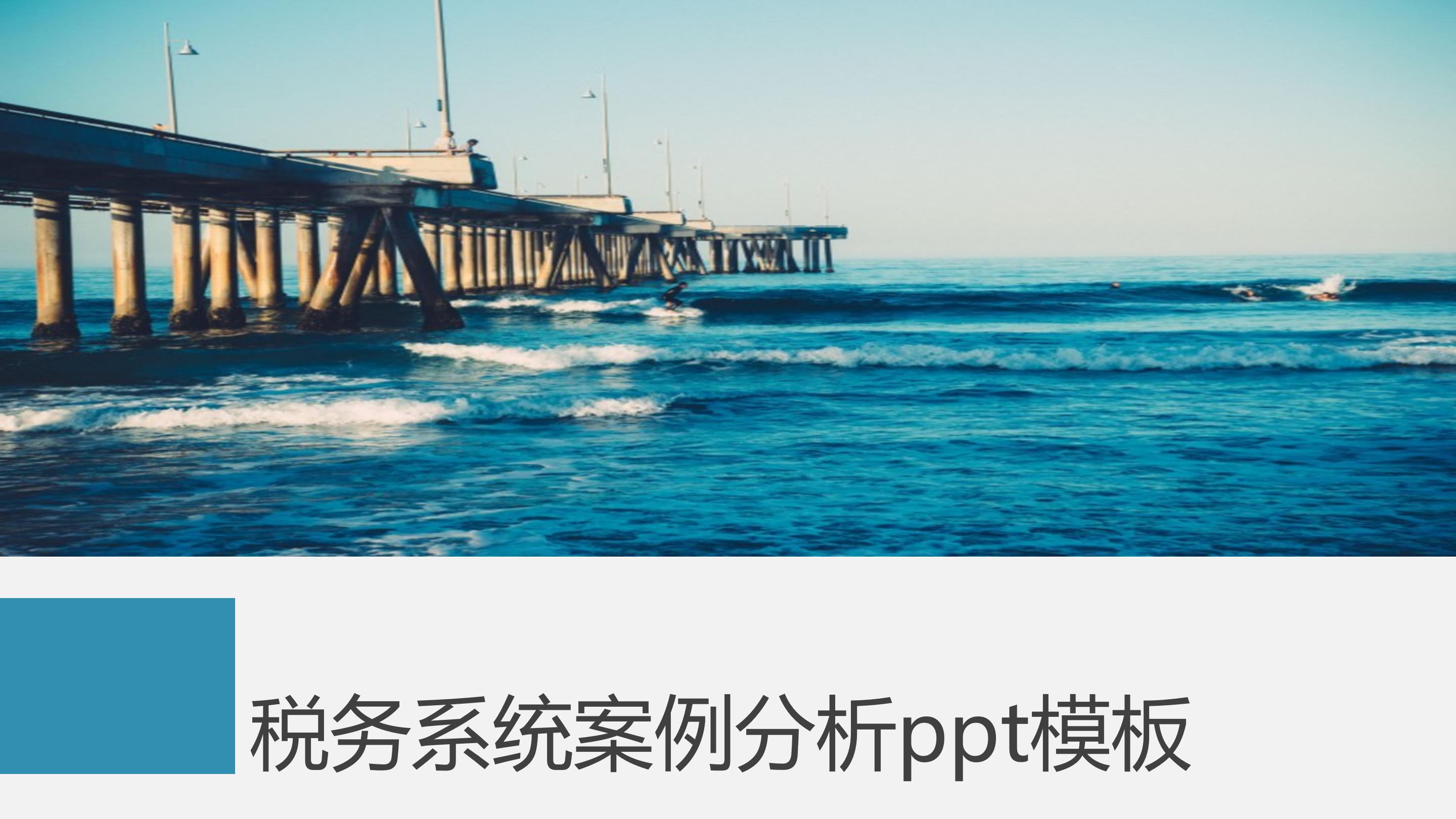 税务系统案例分析ppt模板