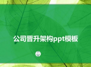 公司晋升架构ppt模板