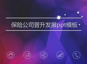 保险公司晋升发展ppt模板