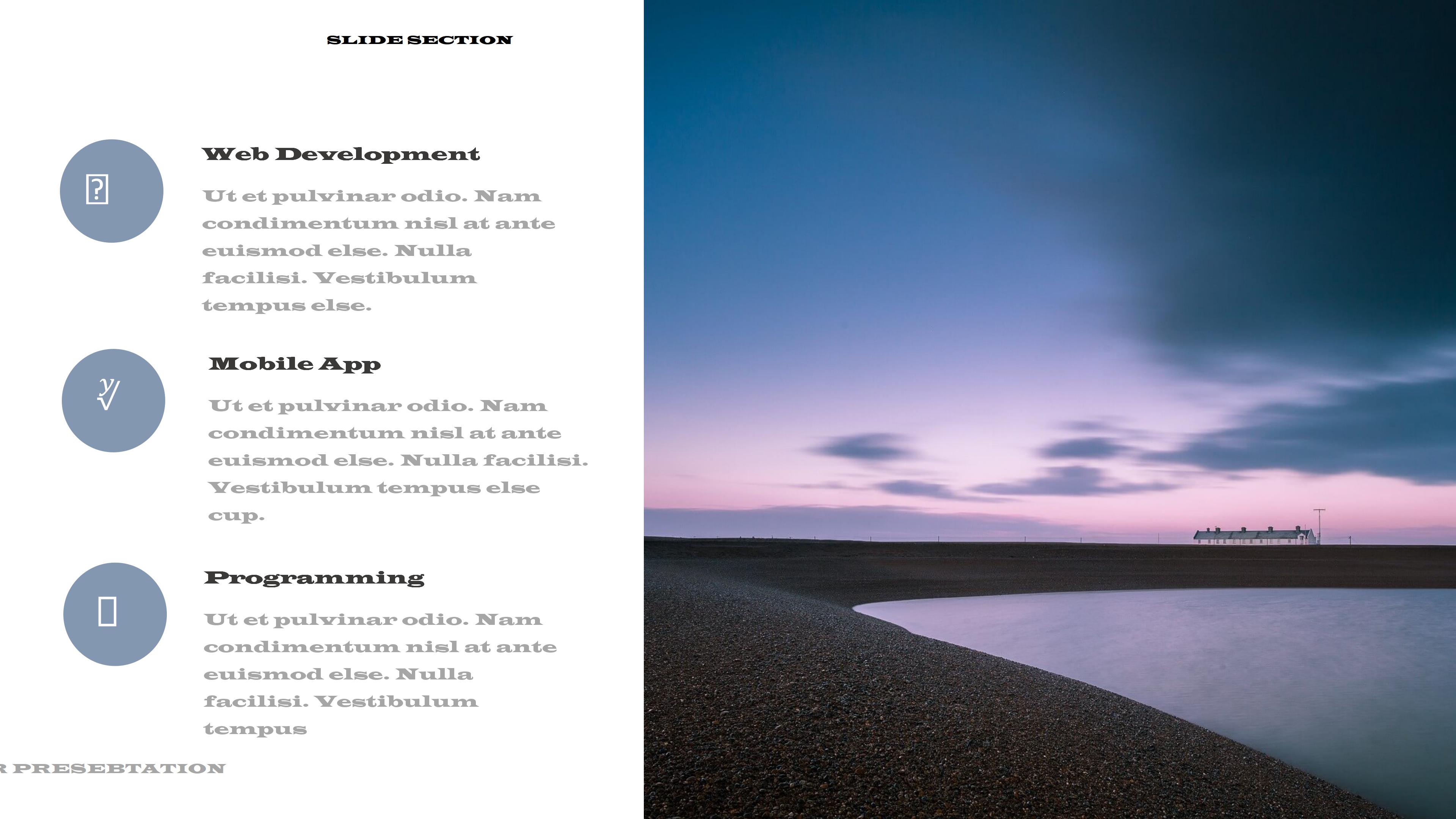 app项目展示ppt模板